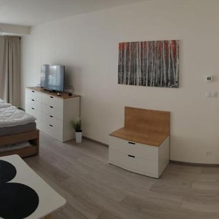 Apartment Korzo 318/3 Lipno nad Vltavou Luaran gambar